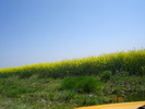 DSC00356