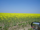 DSC00354