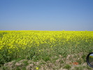 DSC00353