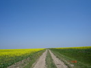 DSC00349