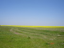 DSC00347