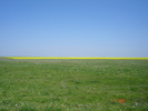 DSC00346
