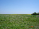 DSC00345