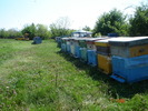 DSC00340