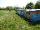DSC00339