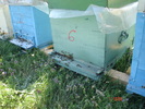 DSC00325