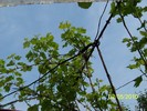 100_6827