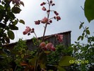 100_7023