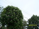 100_7186