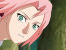 sakura-2