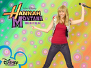 hANNAH-monTANA-THE-movie-hannah-montana-11108342-1600-1200