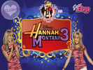 HM-3-hannah-montana-10968801-1024-768