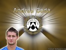 andreacoda