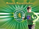 brunopereirinha