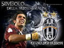buffon