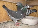 SANY0444