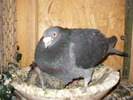 SANY0445