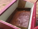 Fotografii-0022