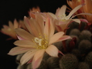 DSC08174