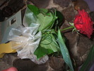 DSCF8394