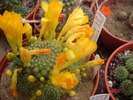 DSC08002