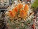 DSC08008