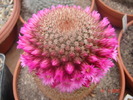 DSC08009