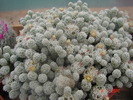 DSC08012