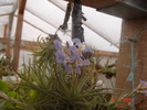 DSC08016