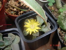 DSC08019
