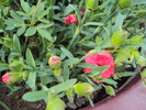 DSC01326