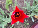 DSC01328