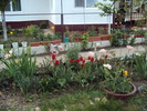 DSC01329