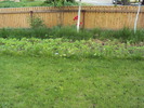 DSC01340
