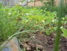 DSC01341