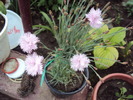 DSC01355