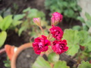 DSC01357