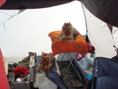 DSC04209