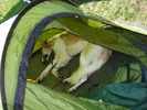DSC04220