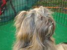 DSC04226