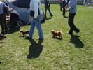 DSC04236