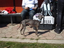 DSC04247