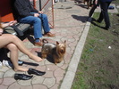 DSC04253