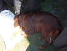 DSC04263