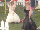 DSC04276