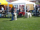 DSC04284
