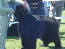 DSC04297
