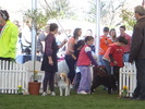 DSC04314