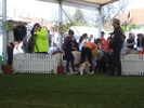 DSC04318