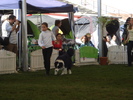DSC04323